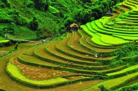 TOUR DU LỊCH TÂY BẮC 5 NGÀY 4 ĐÊM GIÁ RẺ (HÀ NỘI - SƠN LA - MƯỜNG PHĂNG - ĐIỆN BIÊN - SAPA)